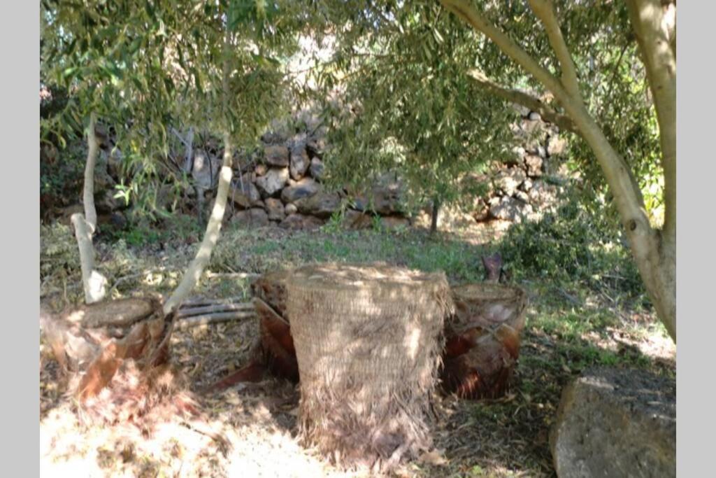 Casa Corea 2 Puntagorda المظهر الخارجي الصورة